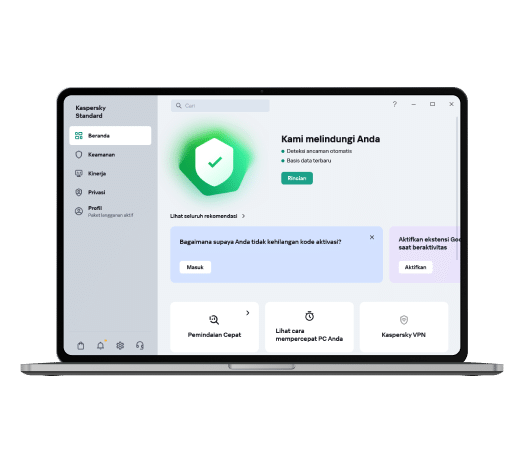 Kaspersky Standard Interface